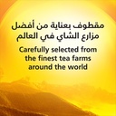 شاي اسود ربيع اكسبرس فرط 800جم - صورة 4