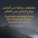 شاي ربيع التوليفة المميزة 25كيس - صورة 4