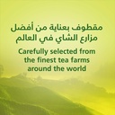 ربيع نعناع صافي 20 كيس - صورة 2