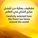 شاي اسود ربيع اكسبرس فرط 200جم - صورة 5