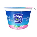 زبادي منزوع الدسم 170 جم