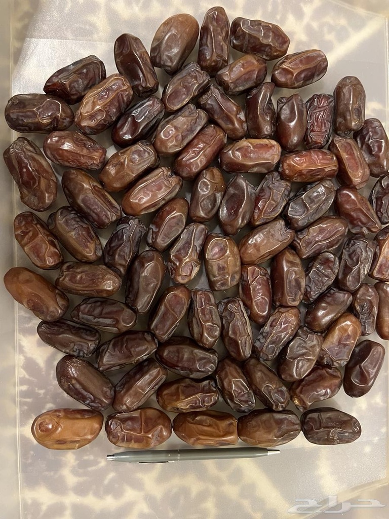 خضري فاخر حبه كبيرة 1  كيلو