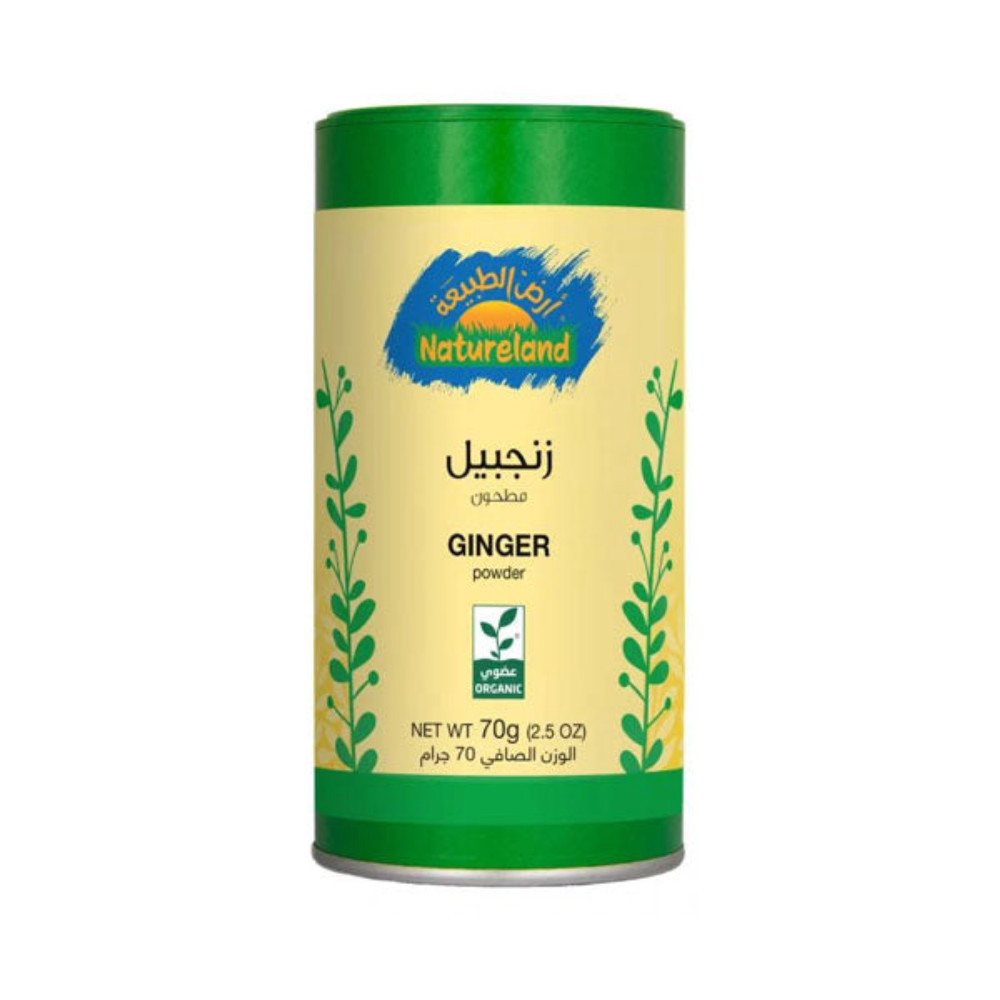 زنجبيل مطحون الغربي 60جم