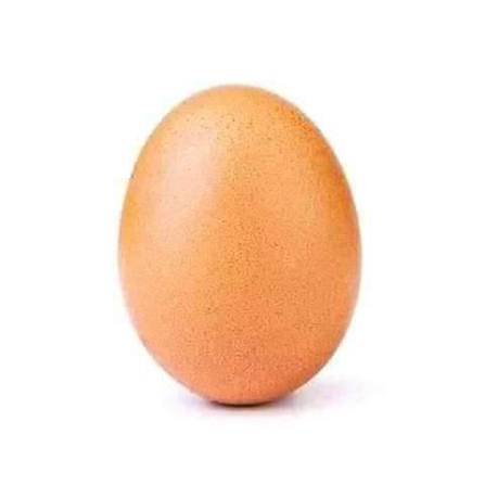 بيض حبة