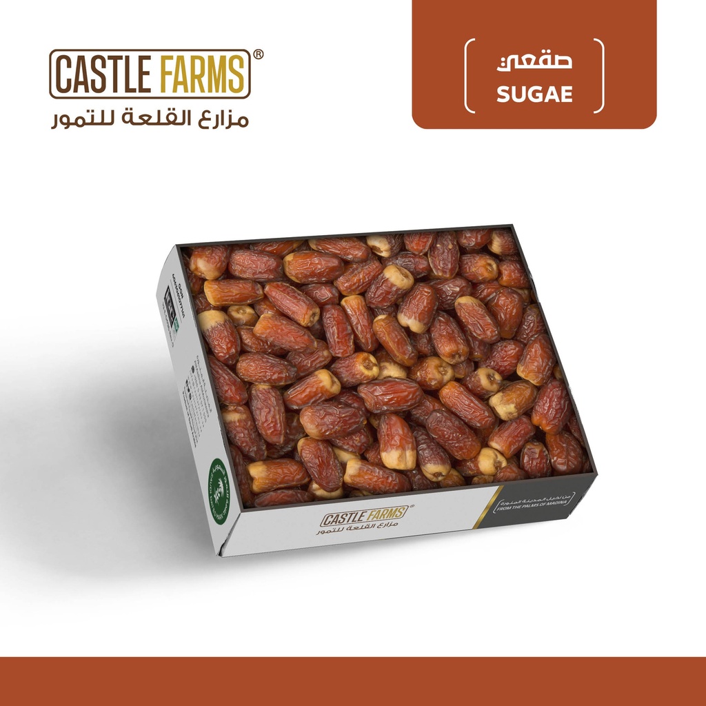 مناصيف صقعي كرتون صغير