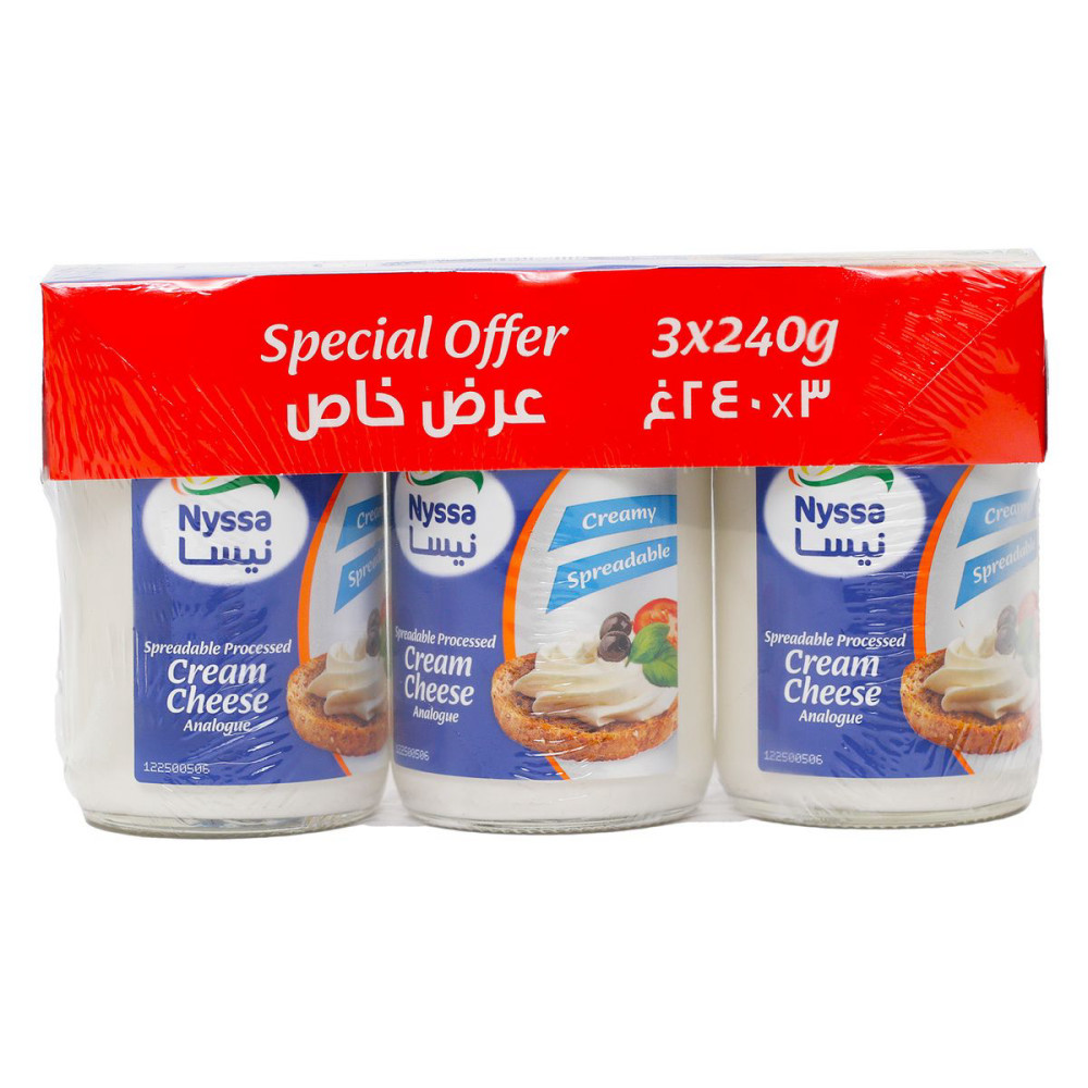 لبنه نيسا 700جم