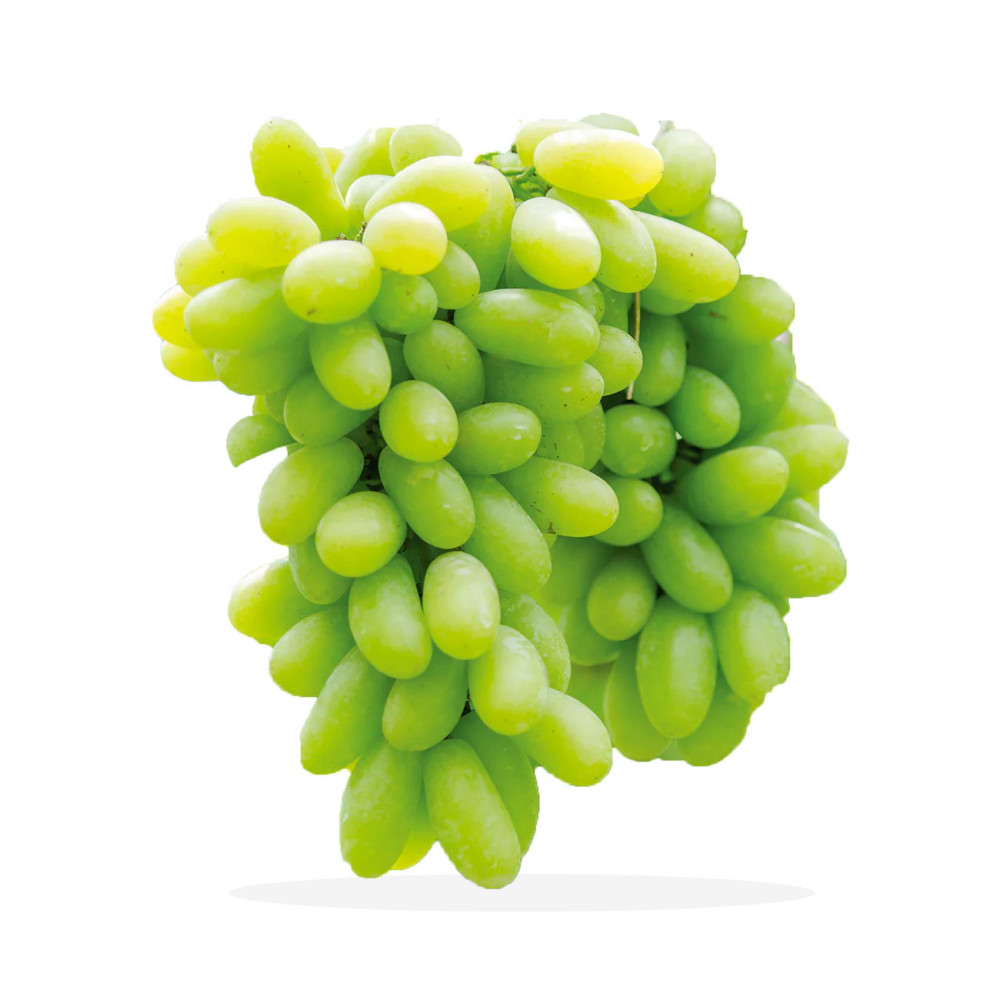 عنب صيني