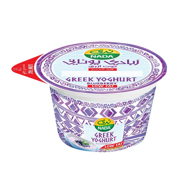 زبادي يوناني توت ازرق 160 جم