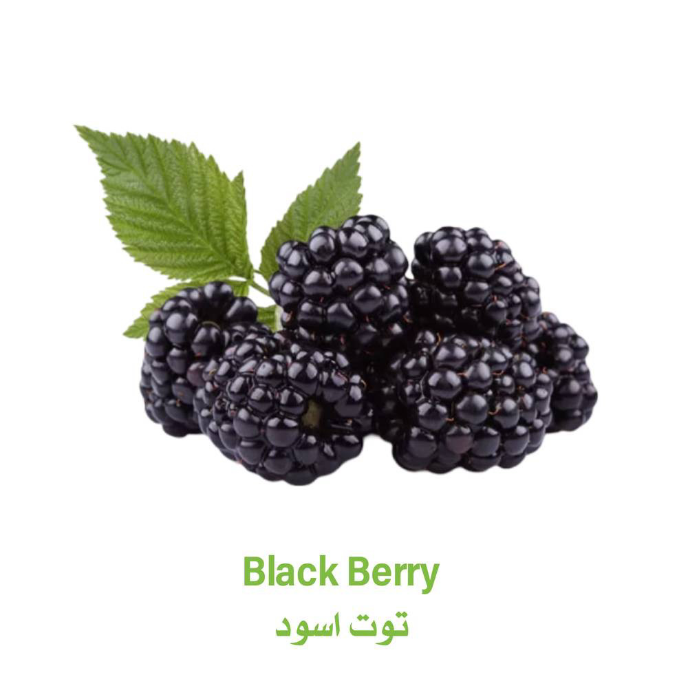 توت اسود الوابل