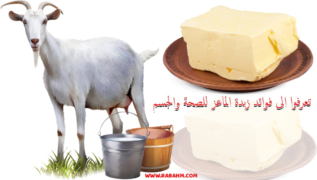 جدودنا زبدة ماعز طبيعي