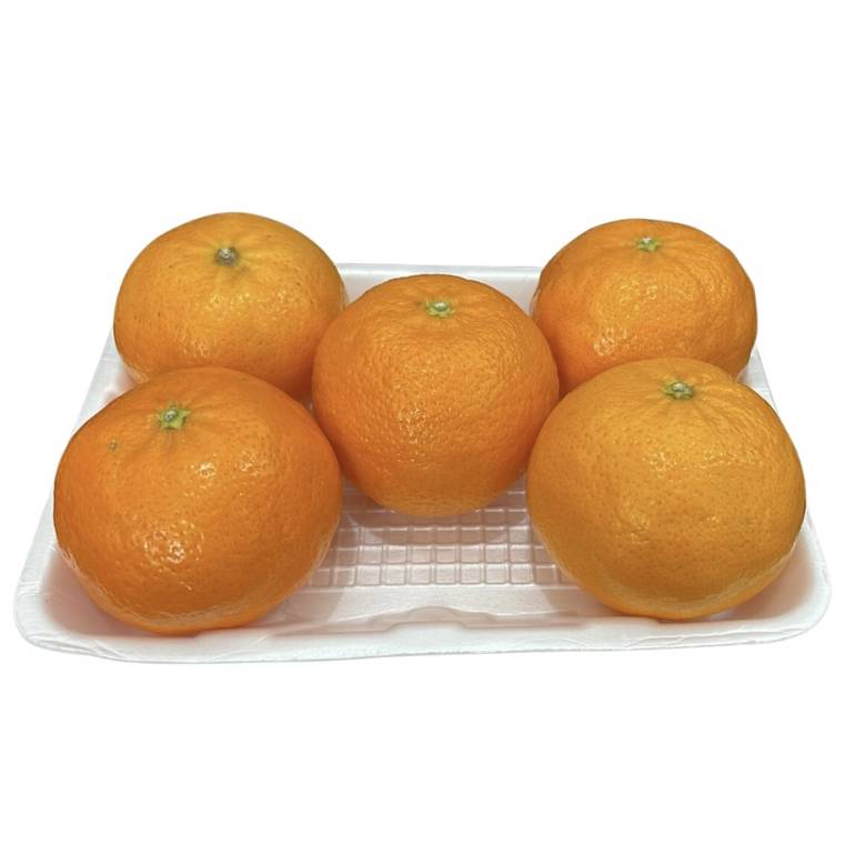 فندي صحن