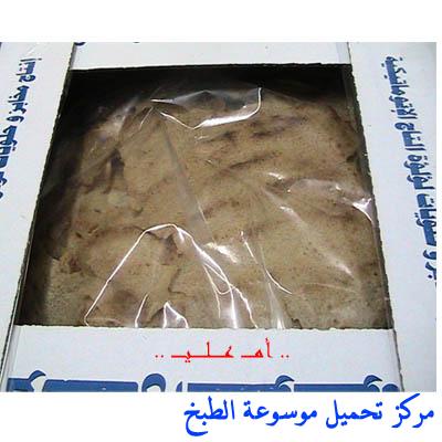 قرصان مدور كبير البركات