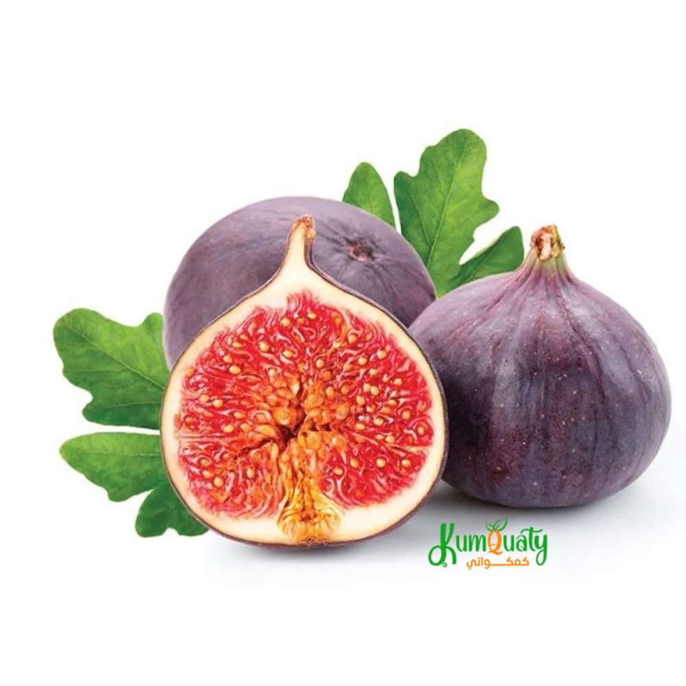 تين احمر سطل