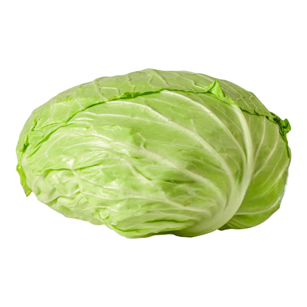 ملفوف اخضر