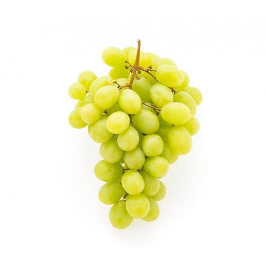 عنب ابيض