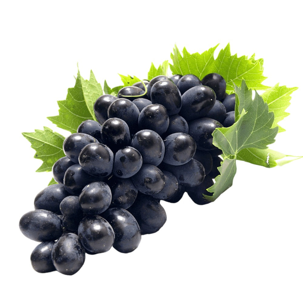 عنب اسود