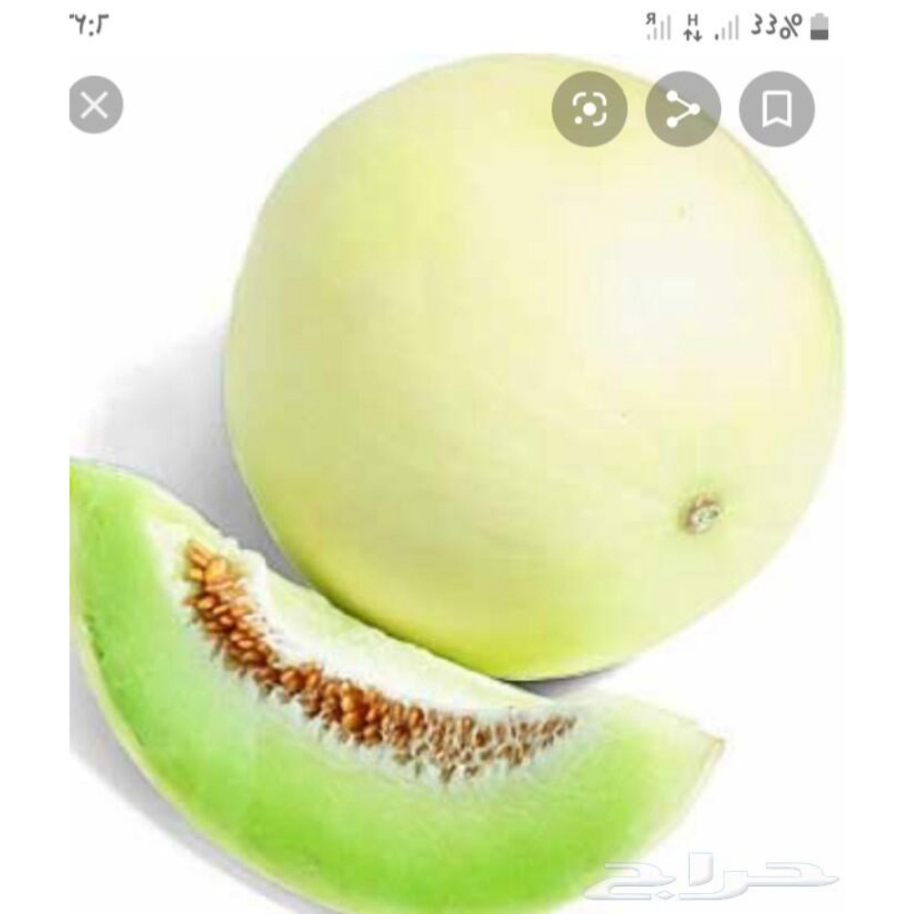 شمام كناري