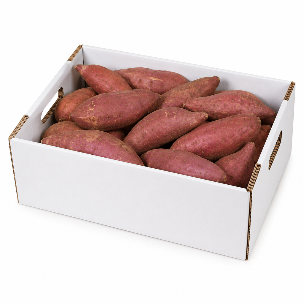 بطاطا حلوة كرتون