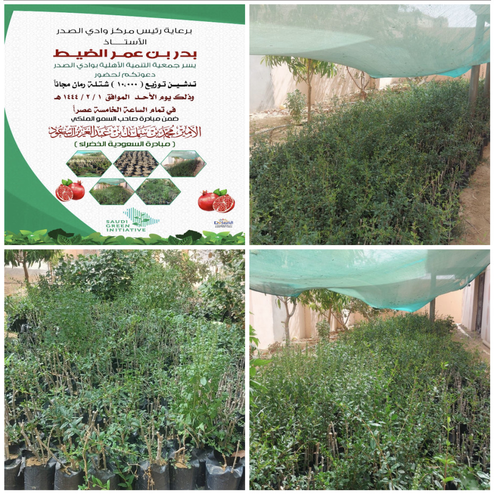 غذائك - رمان بلدي
