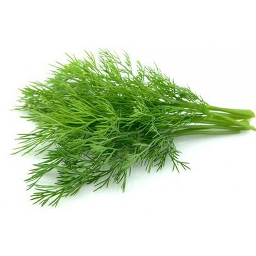 شبت 3  حبة