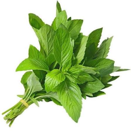 نعناع 3 حبة