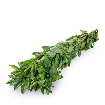 ملوخية 1  حبة