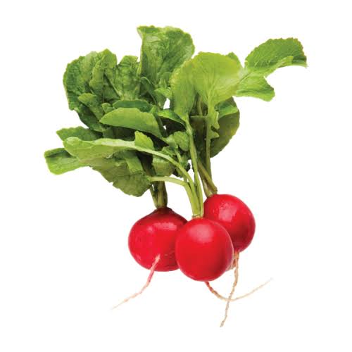 فجل احمر 2  حبة