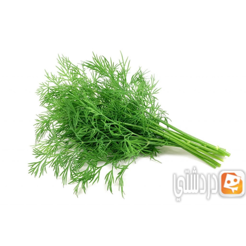 شبت -م