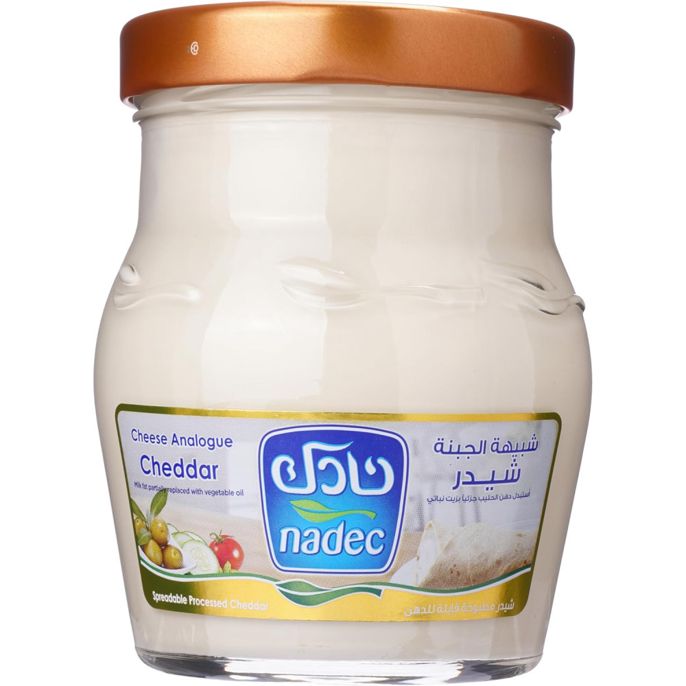 غذائك .لبنة الجبنة الشيدر