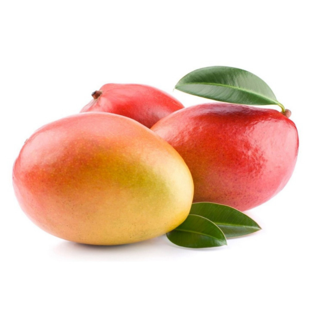 ارشفه
