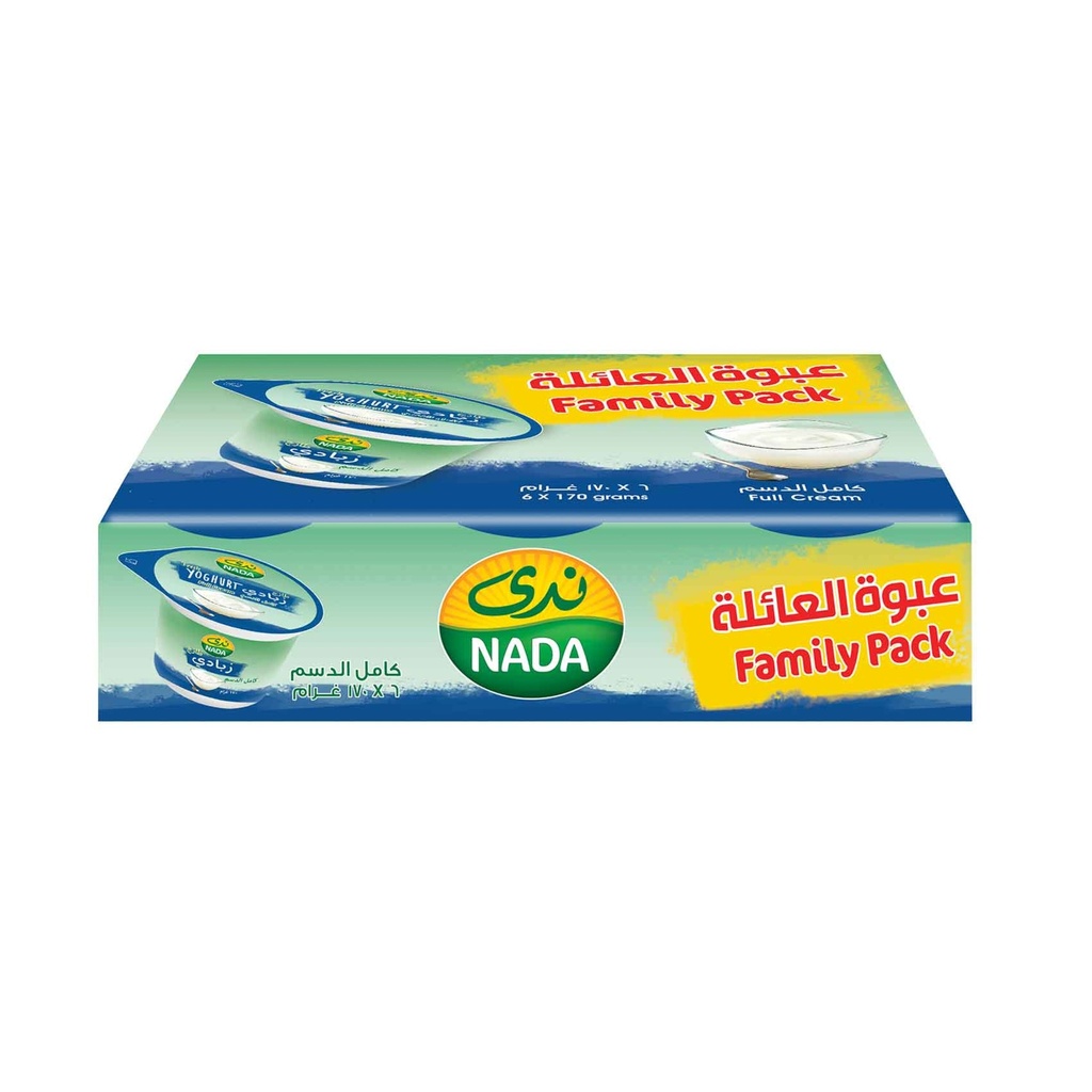 زبادي كامل الدسم ندي 170جم*6