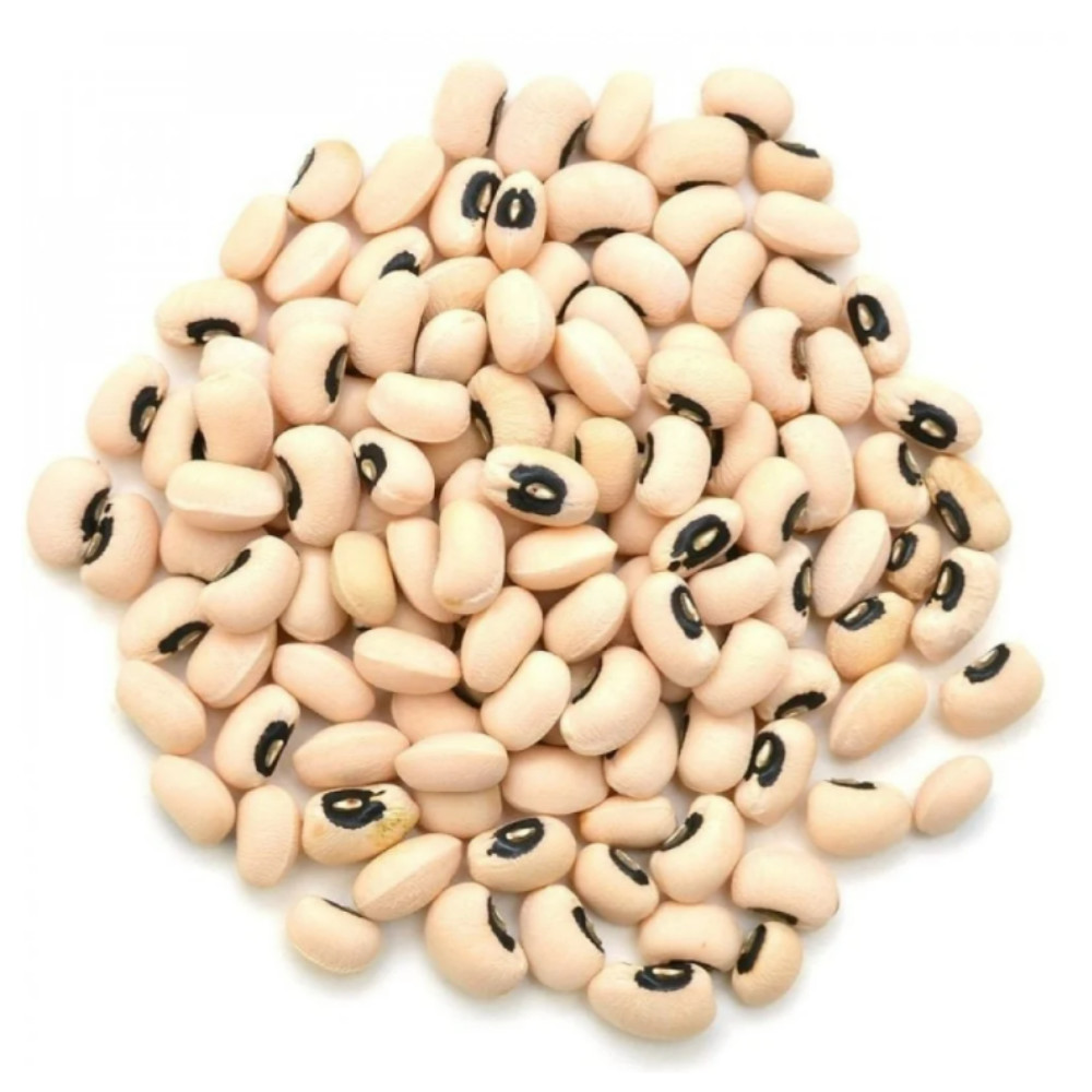 لوبيا سوداء سهل الفتح أ.ج 400ج