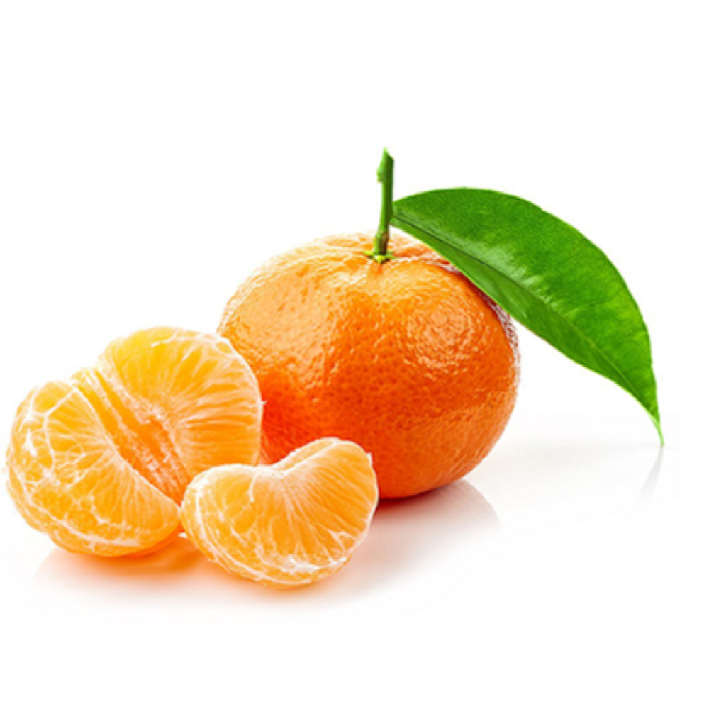 فندي اسباني سله