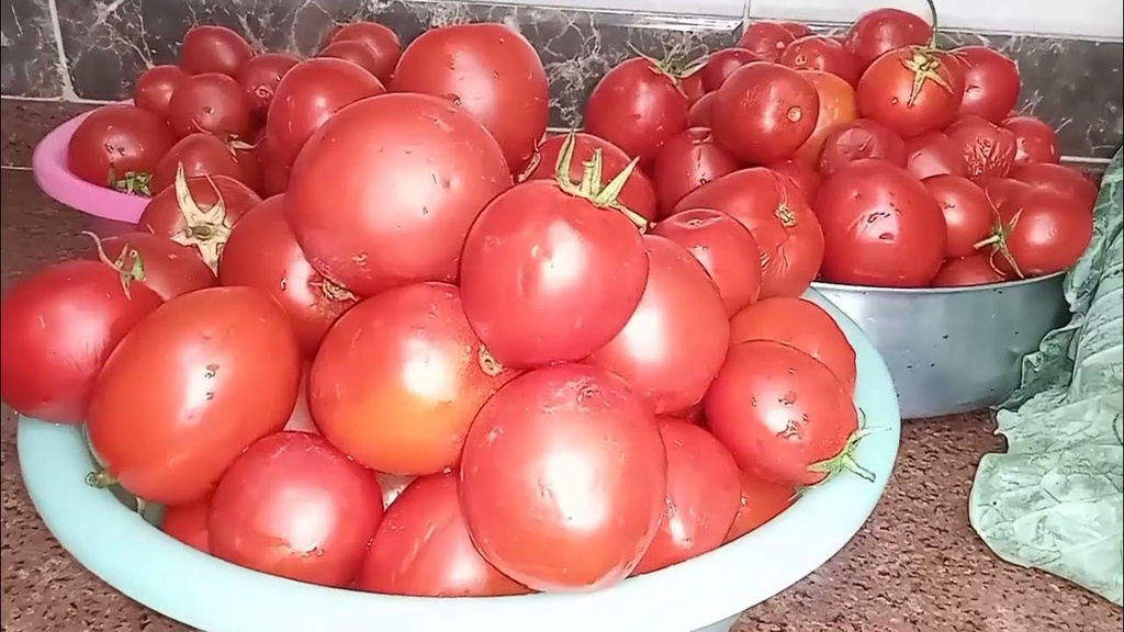 طماطم و 5/7