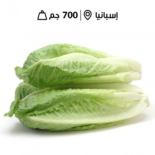 خس اسباني