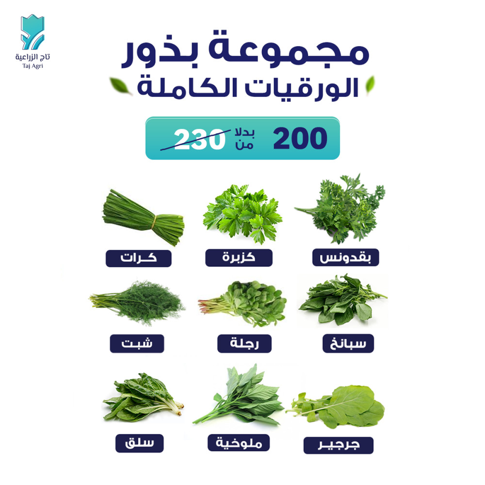 ورقيات حبة