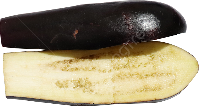 باذنجان اسود مقطع