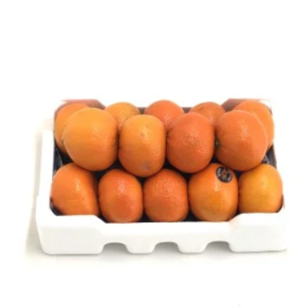 فندي شجره