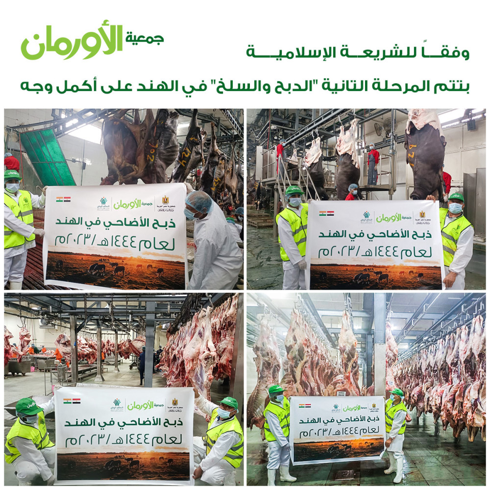 ذبح وسلخ بقر ملاحم