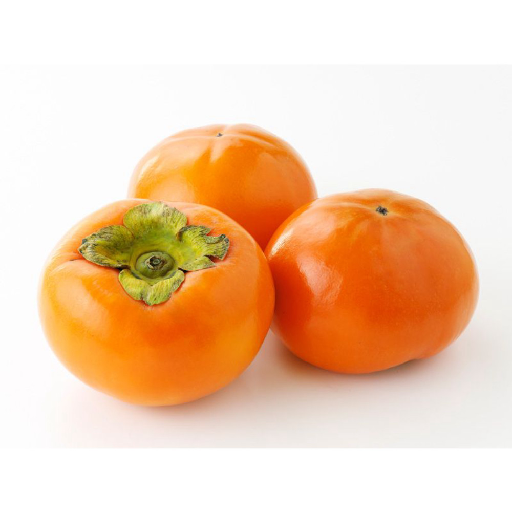 كاكا اسباني كرتون
