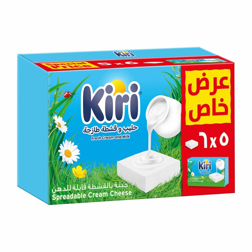 جبن كيري 5*6  ح