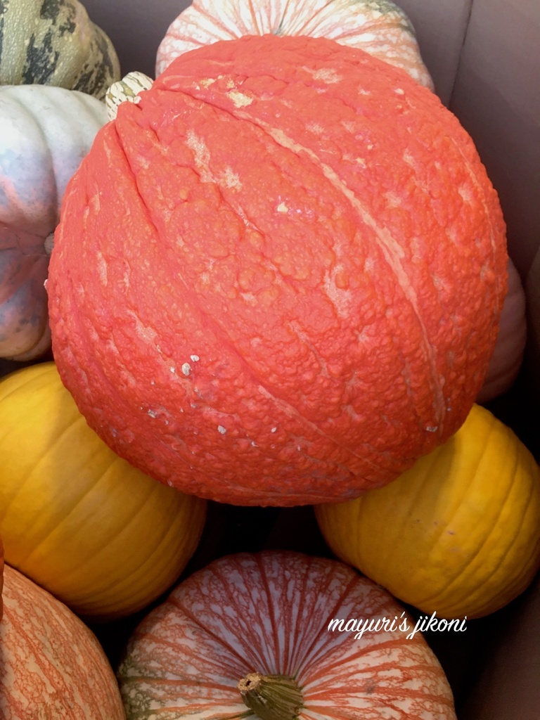Kashna Ghithaak - The Pumpkin