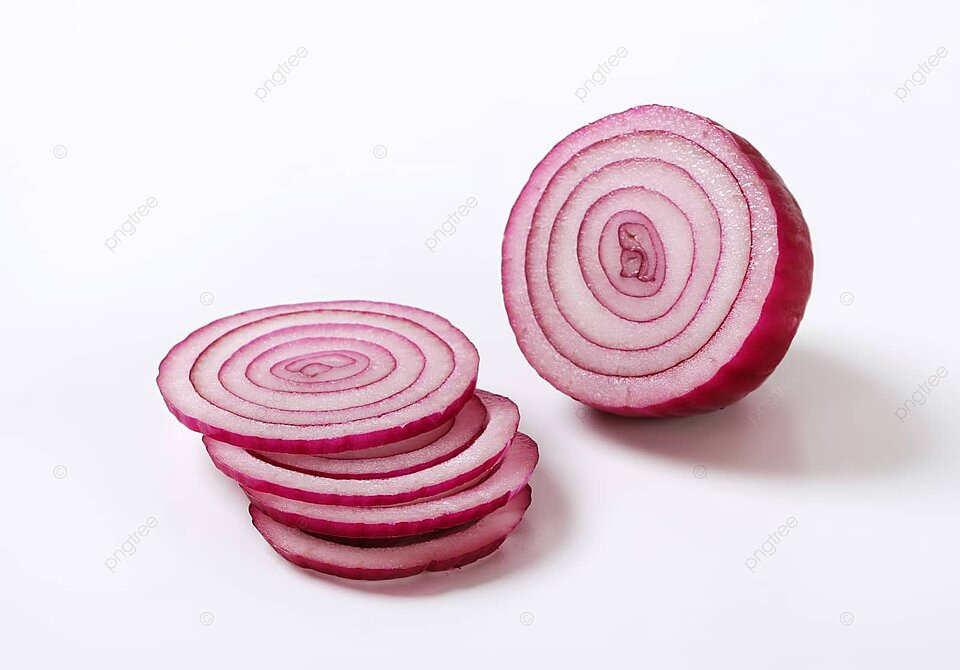 بصل مقطع