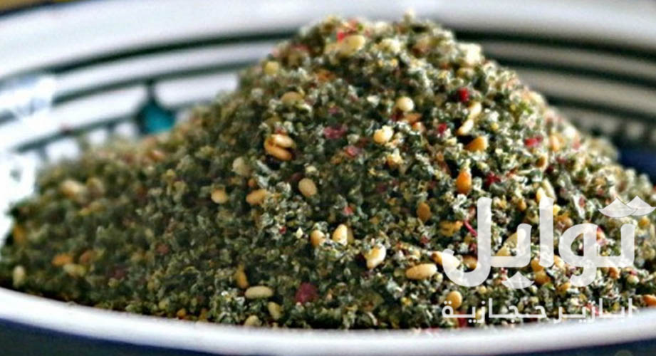 زعتر فلسطيني اخضر